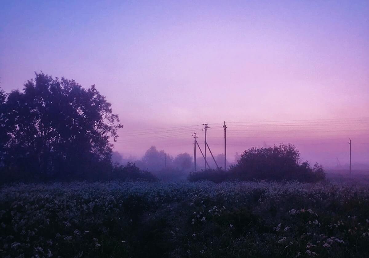 金博洋获全国锦标赛男单冠军 锁定2026冬奥会参赛资格